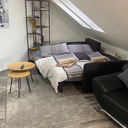 2,5 Ruhig Und Exklusiv Dresden